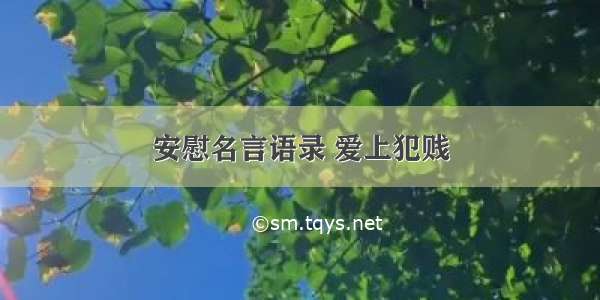 安慰名言语录 爱上犯贱