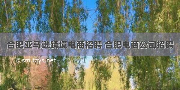 合肥亚马逊跨境电商招聘 合肥电商公司招聘