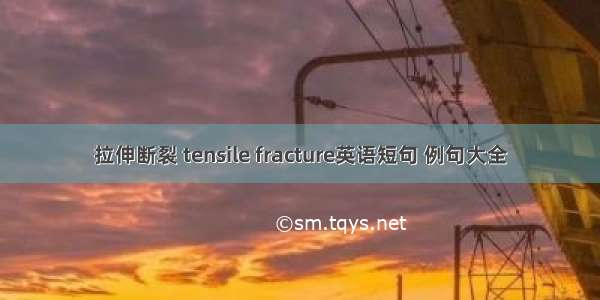 拉伸断裂 tensile fracture英语短句 例句大全