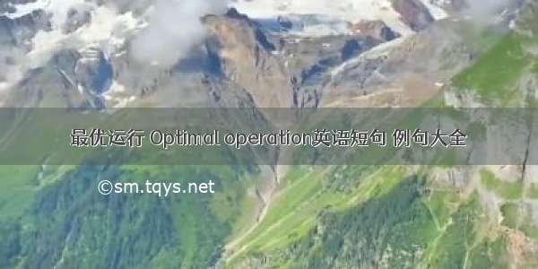 最优运行 Optimal operation英语短句 例句大全