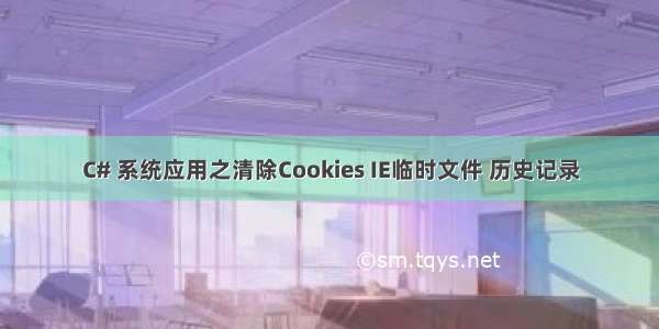 C# 系统应用之清除Cookies IE临时文件 历史记录