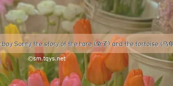 I was telling my boy Sonny the story of the hare (兔子) and the tortoise (乌龟). At the end I