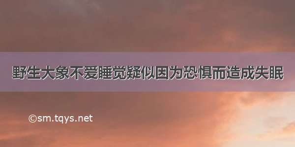 野生大象不爱睡觉疑似因为恐惧而造成失眠