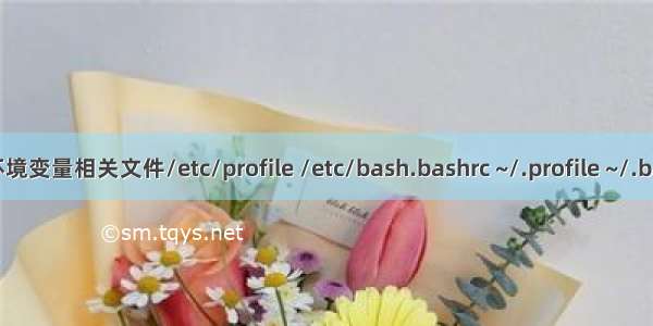 ubuntu环境变量相关文件/etc/profile /etc/bash.bashrc ~/.profile ~/.bashrc区别