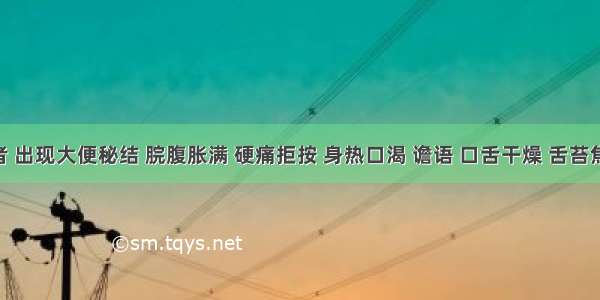 某患者 出现大便秘结 脘腹胀满 硬痛拒按 身热口渴 谵语 口舌干燥 舌苔焦黄 神