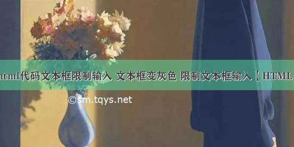 html代码文本框限制输入 文本框变灰色 限制文本框输入【HTML】