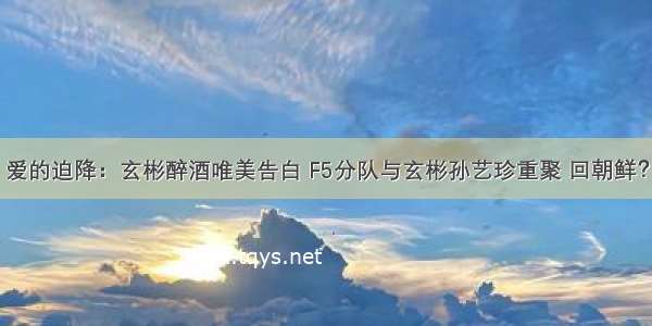 爱的迫降：玄彬醉酒唯美告白 F5分队与玄彬孙艺珍重聚 回朝鲜？