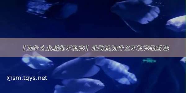 【为什么北极熊不怕冷】北极熊为什么不怕冷的故事