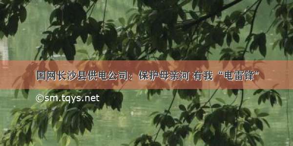 国网长沙县供电公司：保护母亲河 有我“电雷锋”