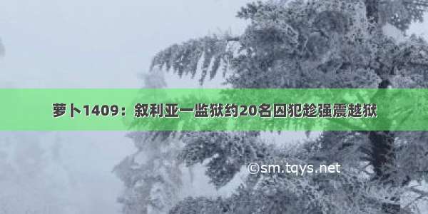 萝卜1409：叙利亚一监狱约20名囚犯趁强震越狱