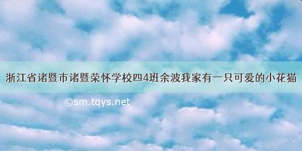 浙江省诸暨市诸暨荣怀学校四4班余波我家有一只可爱的小花猫