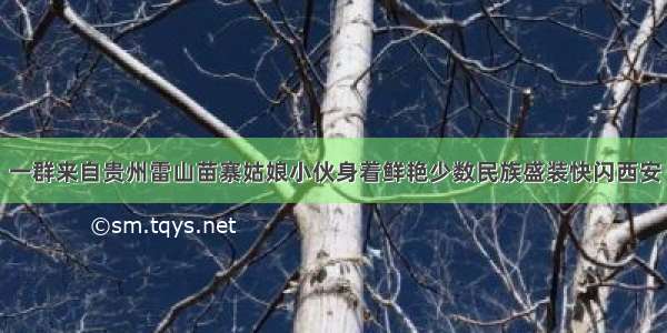 一群来自贵州雷山苗寨姑娘小伙身着鲜艳少数民族盛装快闪西安