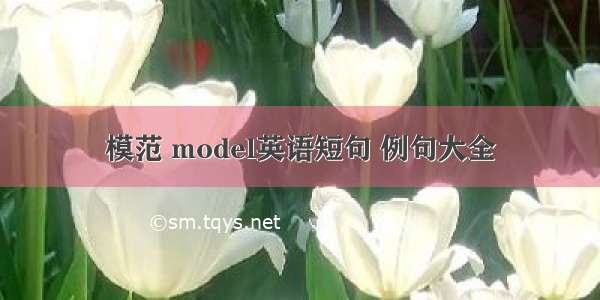 模范 model英语短句 例句大全