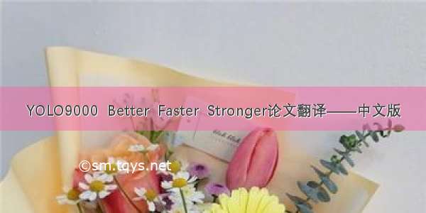 YOLO9000  Better  Faster  Stronger论文翻译——中文版