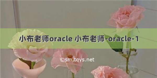 小布老师oracle 小布老师-oracle-1