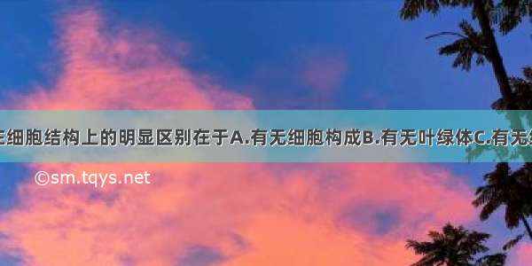 真菌与细菌在细胞结构上的明显区别在于A.有无细胞构成B.有无叶绿体C.有无细胞壁D.有无