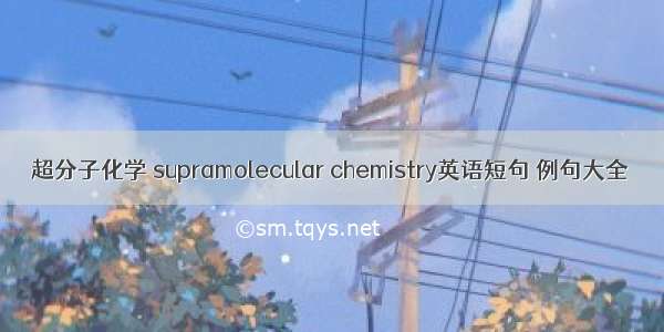 超分子化学 supramolecular chemistry英语短句 例句大全