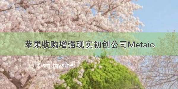 苹果收购增强现实初创公司Metaio