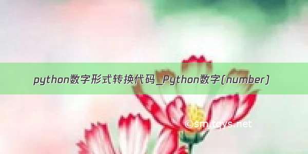 python数字形式转换代码_Python数字(number)