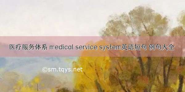 医疗服务体系 medical service system英语短句 例句大全