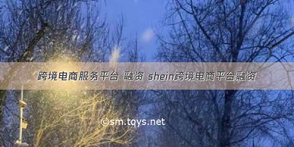 跨境电商服务平台 融资 shein跨境电商平台融资