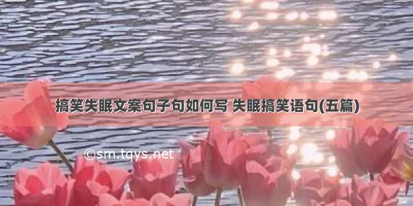 搞笑失眠文案句子句如何写 失眠搞笑语句(五篇)