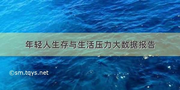 年轻人生存与生活压力大数据报告