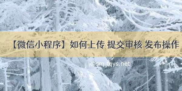 【微信小程序】如何上传 提交审核 发布操作