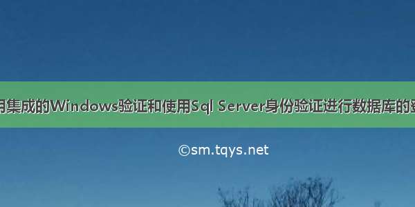 采用集成的Windows验证和使用Sql Server身份验证进行数据库的登录