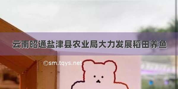 云南昭通盐津县农业局大力发展稻田养鱼