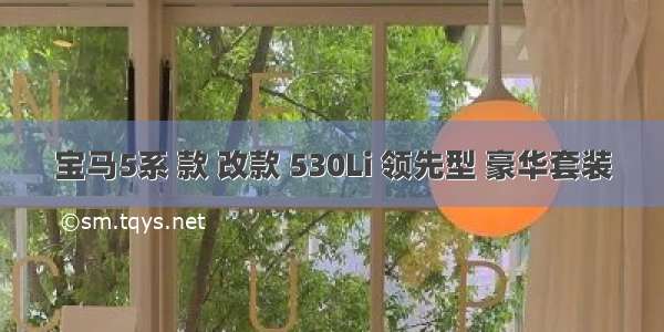 宝马5系 款 改款 530Li 领先型 豪华套装