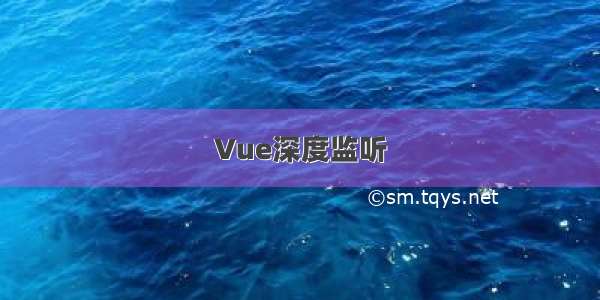 Vue深度监听