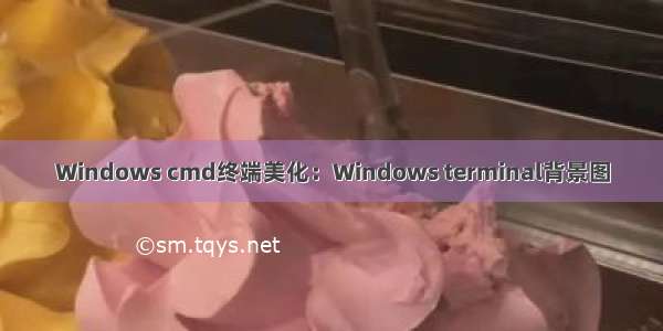 Windows cmd终端美化：Windows terminal背景图