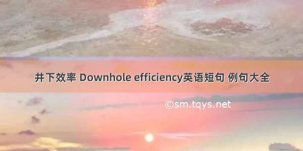 井下效率 Downhole efficiency英语短句 例句大全