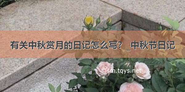 有关中秋赏月的日记怎么写？_中秋节日记