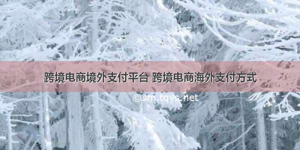 跨境电商境外支付平台 跨境电商海外支付方式