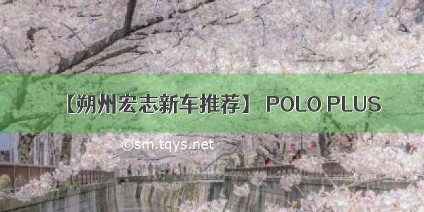 【朔州宏志新车推荐】 POLO PLUS