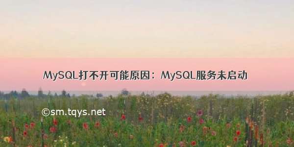 MySQL打不开可能原因：MySQL服务未启动