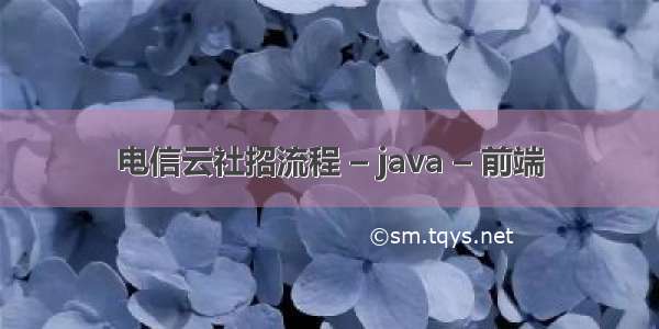 电信云社招流程 – java – 前端