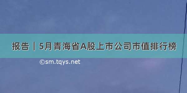 报告｜5月青海省A股上市公司市值排行榜