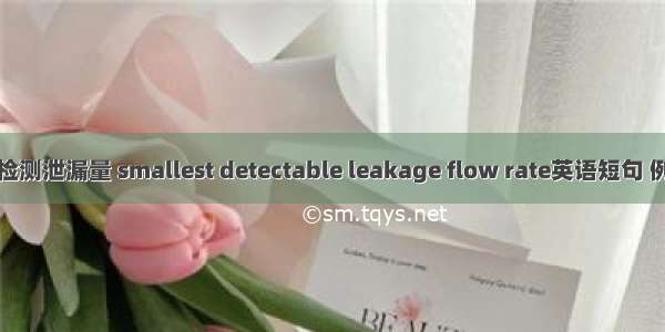 最小可检测泄漏量 smallest detectable leakage flow rate英语短句 例句大全