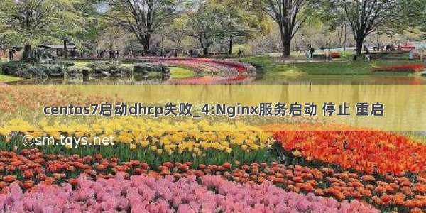 centos7启动dhcp失败_4:Nginx服务启动 停止 重启