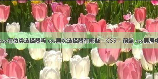 css有伪类选择器吗 css层次选择器有哪些 – CSS – 前端 css层居中