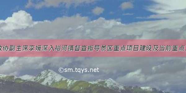 区政协副主席李媛深入裕河镇督查指导景区重点项目建设及当前重点工作