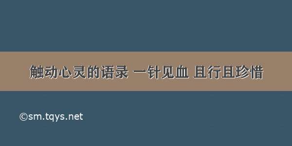 触动心灵的语录 一针见血 且行且珍惜