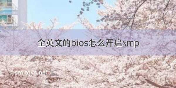 全英文的bios怎么开启xmp