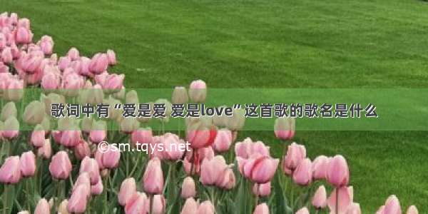 歌词中有“爱是爱 爱是love”这首歌的歌名是什么