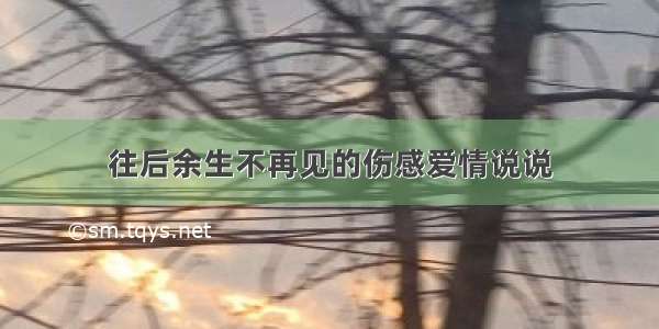 往后余生不再见的伤感爱情说说