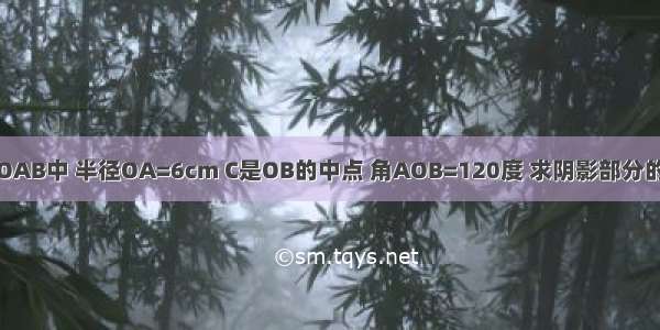 扇形OAB中 半径OA=6cm C是OB的中点 角AOB=120度 求阴影部分的面积