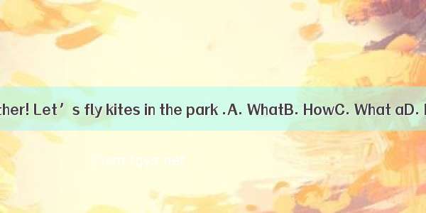 nice weather! Let’s fly kites in the park .A. WhatB. HowC. What aD. How a